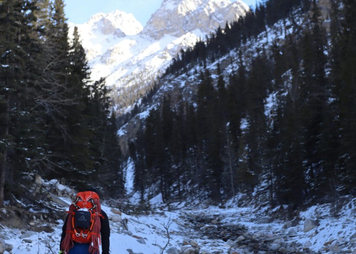 1762614685-pexels-michelle-leblanc-2148527189-31129218 (2).jpg